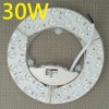 220V 30W LED  170       17783