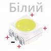   SMD PLCC6 (6 .) 0.5W 3.3V 6000    17205
